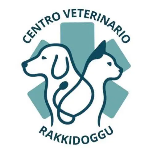 CENTRO VETERINARIO RAKKIDOGGU