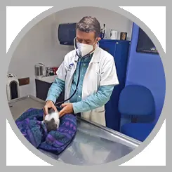 Clínica Veterinaria Dr. Guerrero