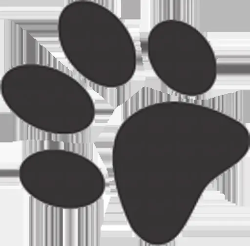 Pet&vet Medical Unit Sucursal Patio Tlalpan