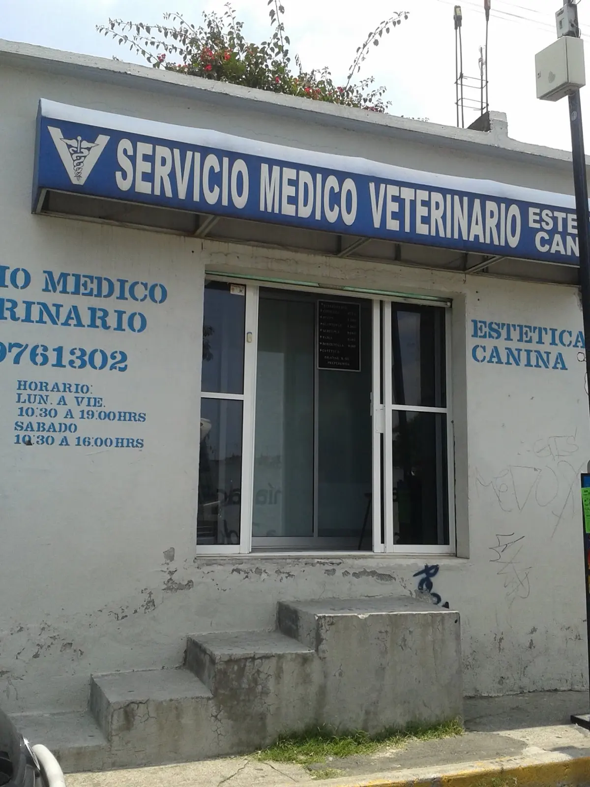Servicio Médico Veterinario M.V.Z. Sergío H. Juárez Velázquez