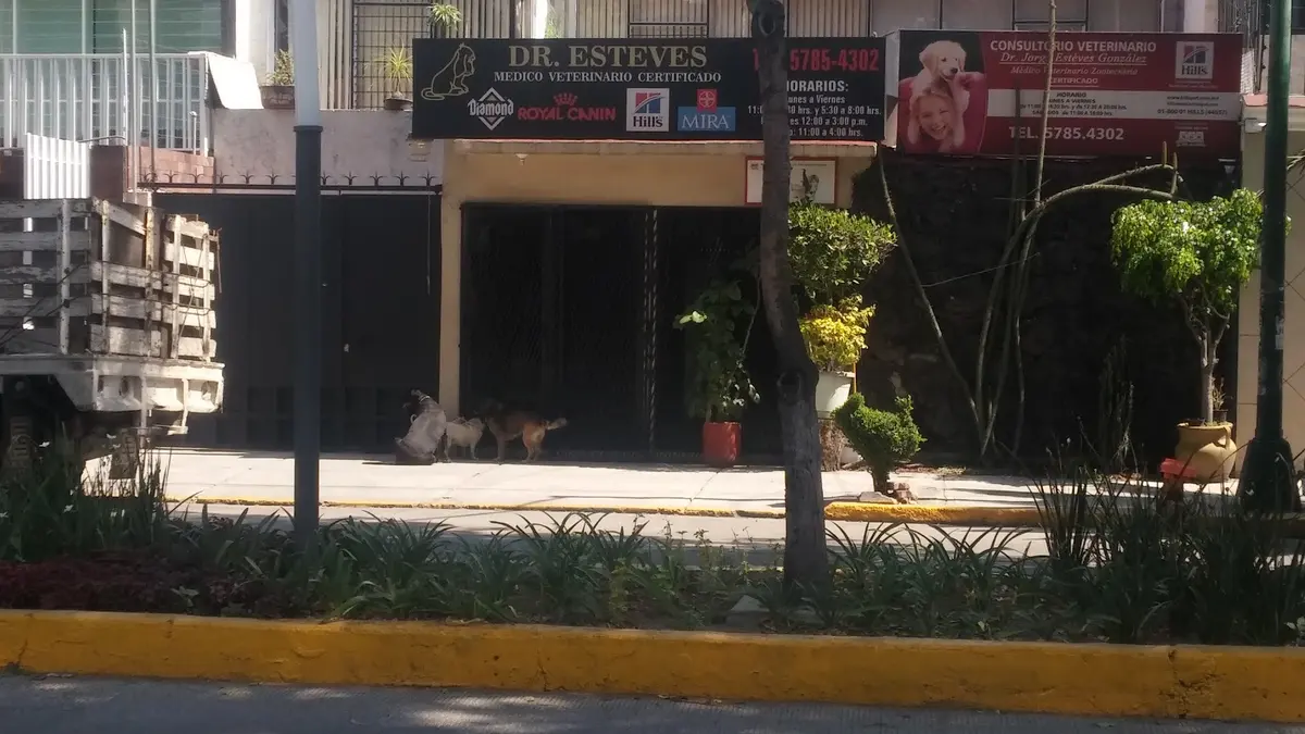 CONSULTORIO VETERINARIO — foto 3 de 3