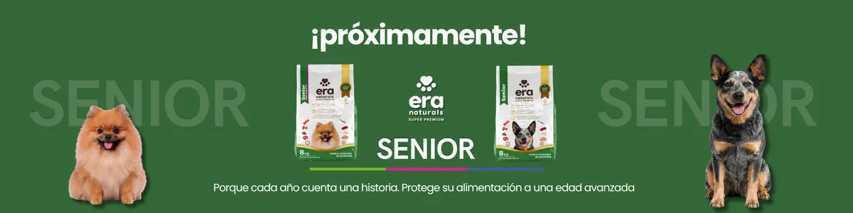 Veterinaria Mister Mascotas — foto 4 de 4