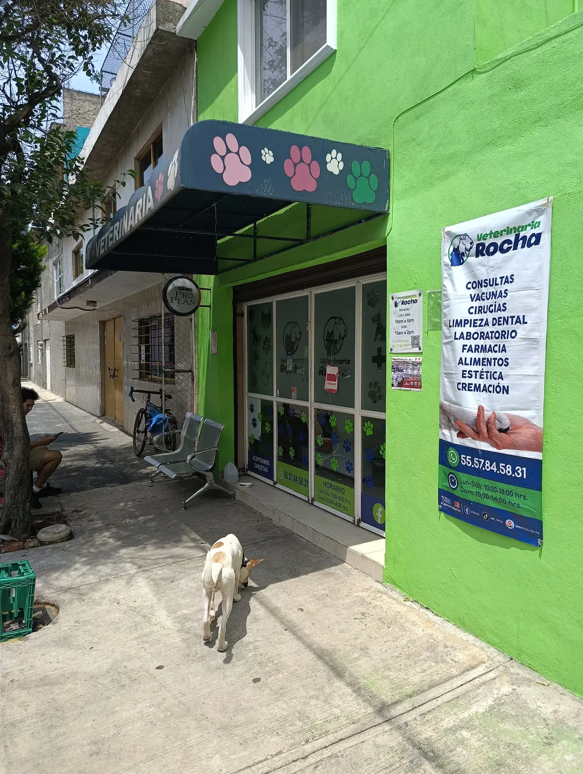 Veterinaria Rocha — foto 3 de 3