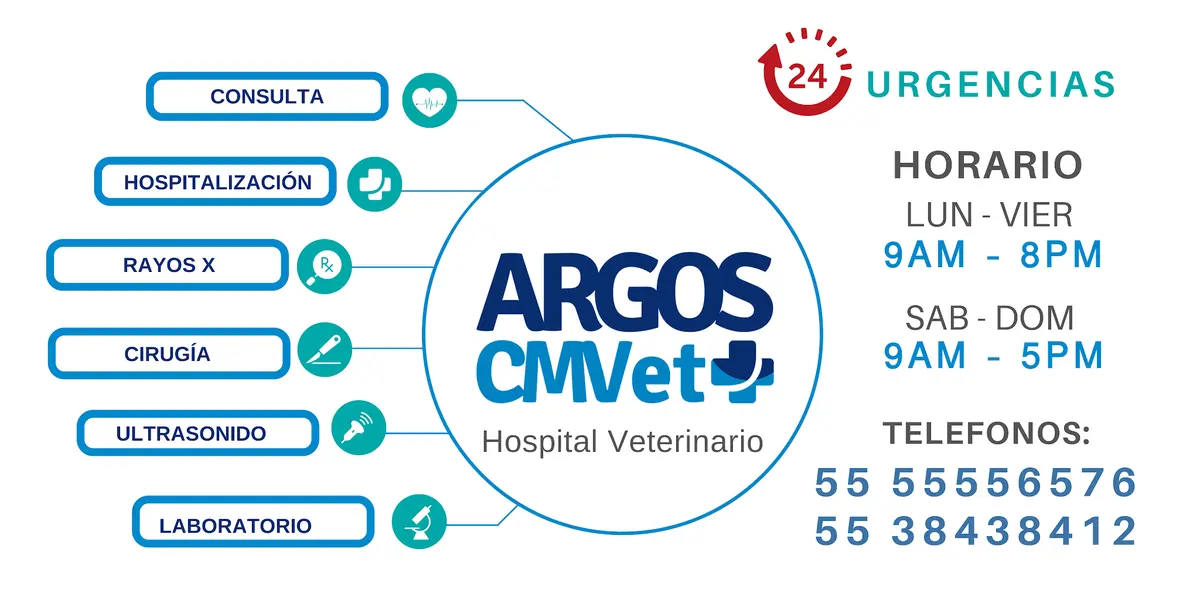 ARGOS CMVet Hospital Veterinario