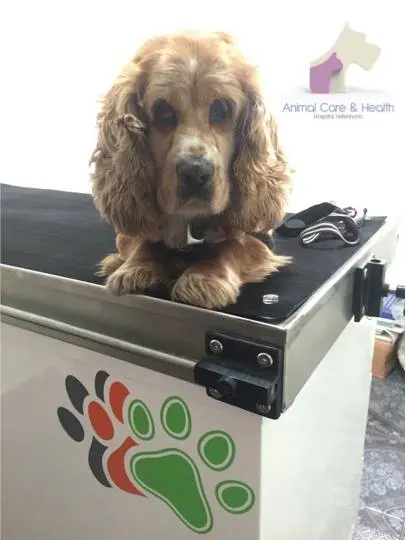 Hospital Veterinario Animal Care and Health