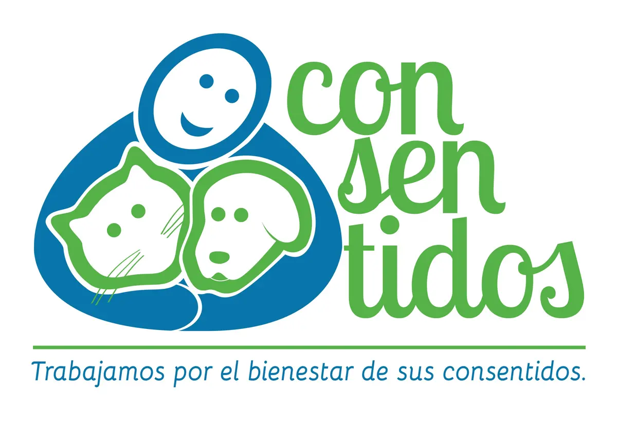Hospital Veterinario, Con Sentidos