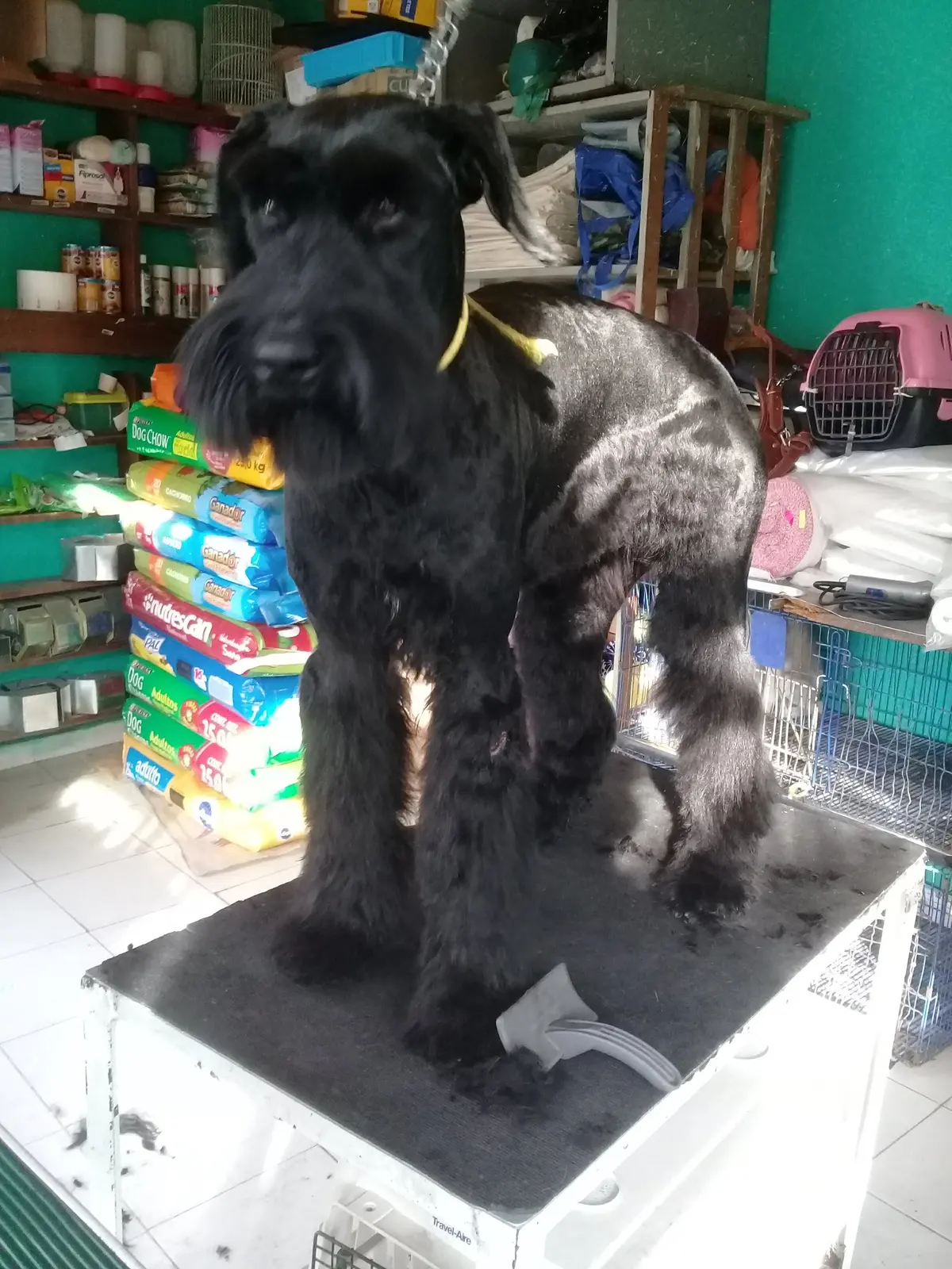 Hospital Veterinario San Marcos — foto 3 de 3