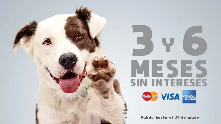 SURVET Centro Veterinario del Sur VETERINARIA