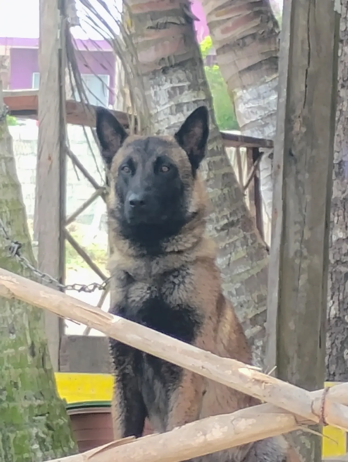 Veterinaria La Herradura