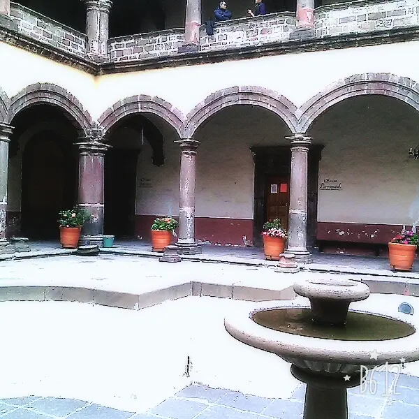Veterinaria "San Bernardino"