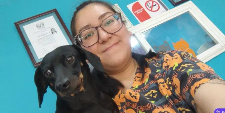 Veterinaria Su Dogtora — foto 2 de 4