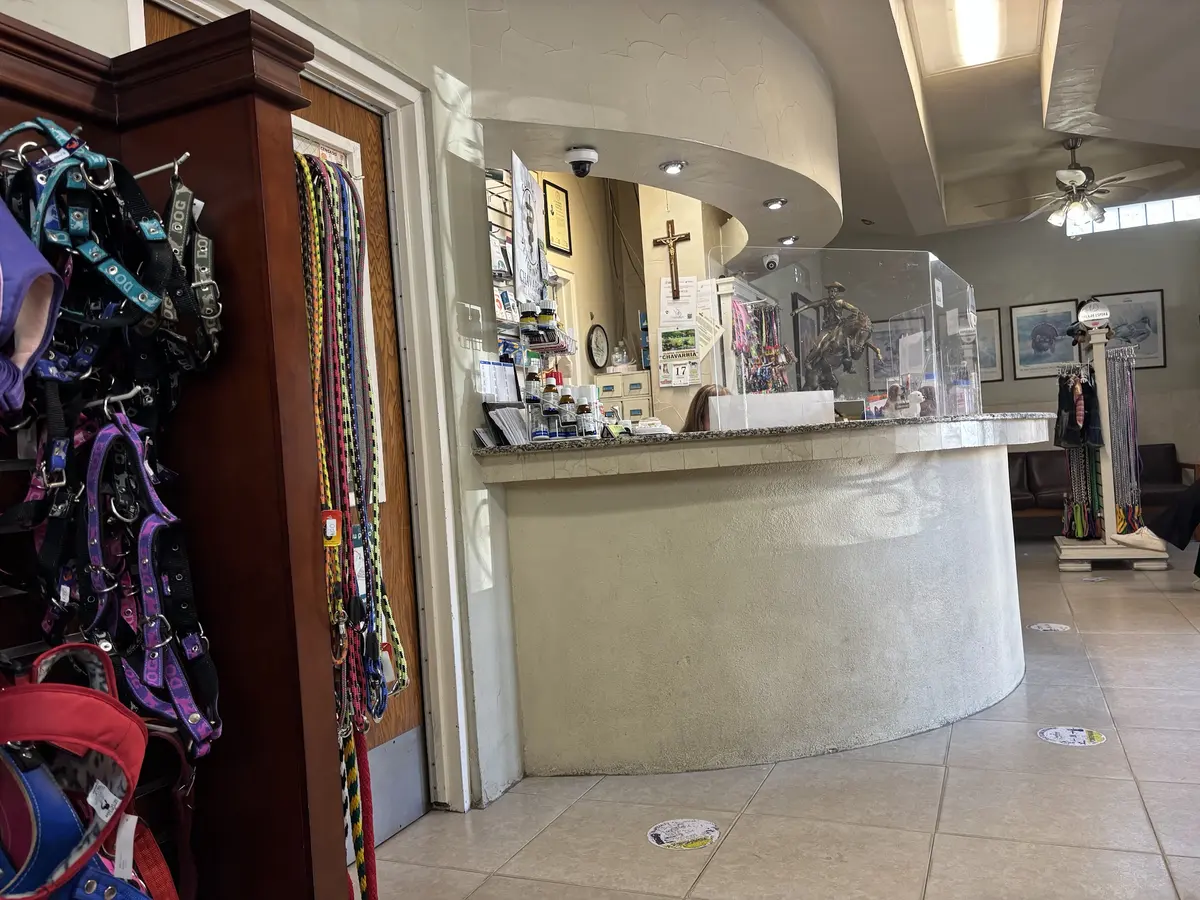 Clínica Veterinaria "Chavarría"