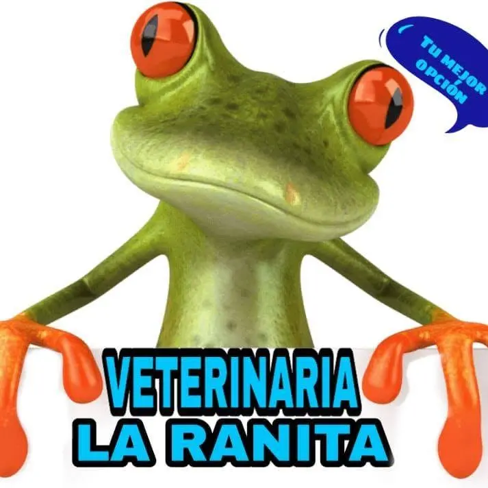 Veterinaria la Ranita
