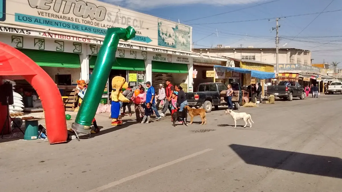 Vettoro