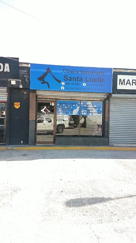 Clinica Veterinaria Santa Lucia