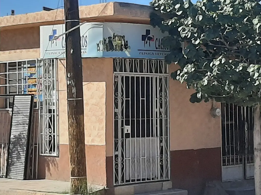 Clínica Veterinaria Cachorros