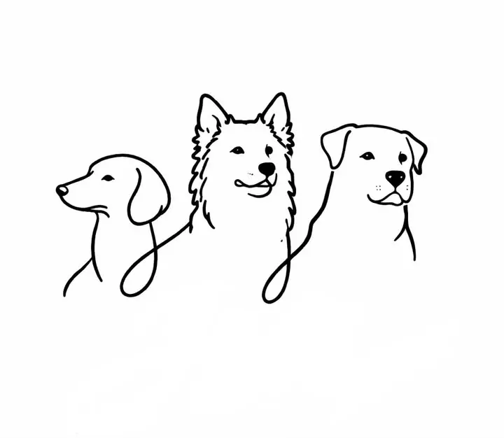 Veterinaria San Antonio