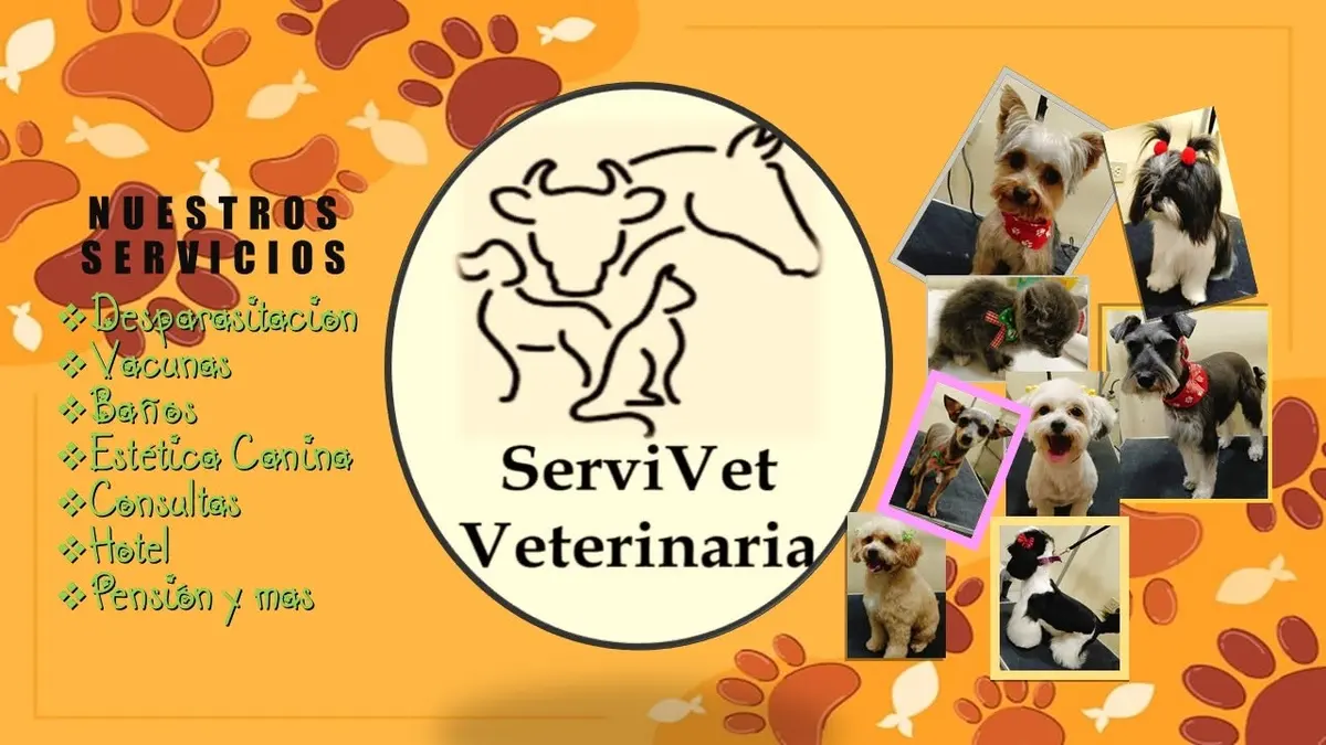 ServiVet Veterinario