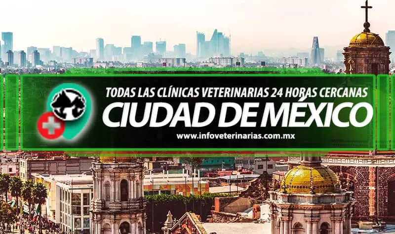 Veterinaria Kanton