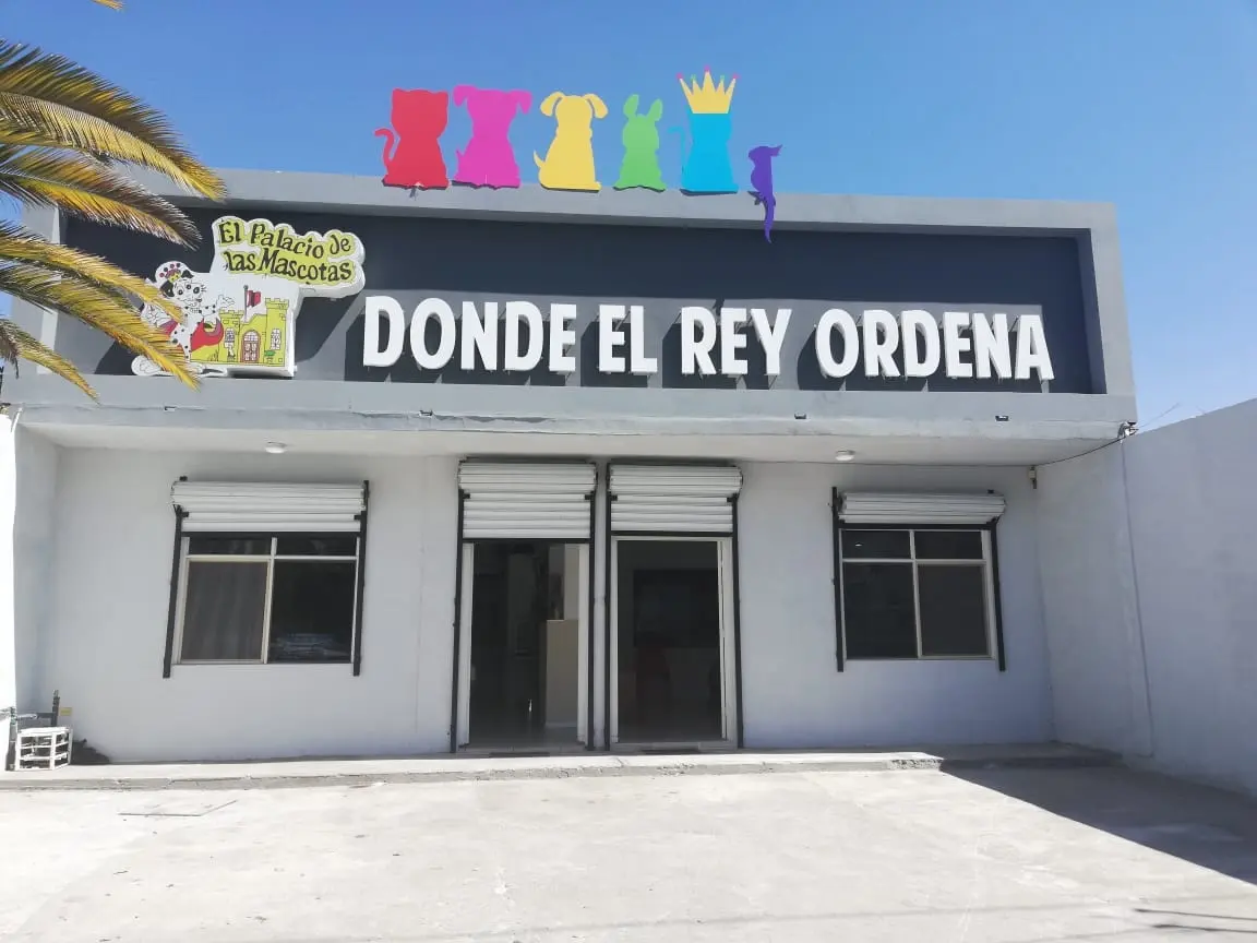 El Palacio de las Mascotas - Veterinaria en Ramos Arizpe