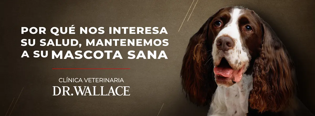 Clínica Veterinaria Dr Wallace