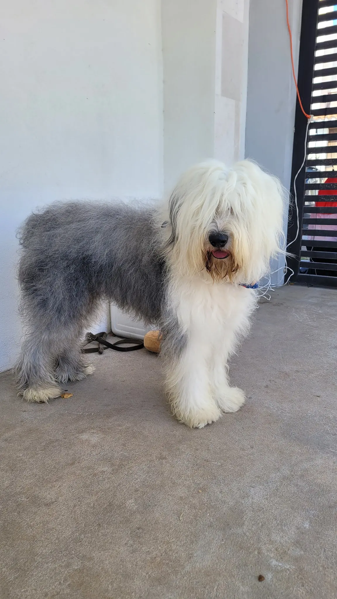 LUCAN Clínica Veterinaria — foto 3 de 3
