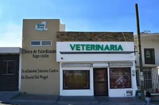 Veterinaria Animal Place — foto 2 de 3