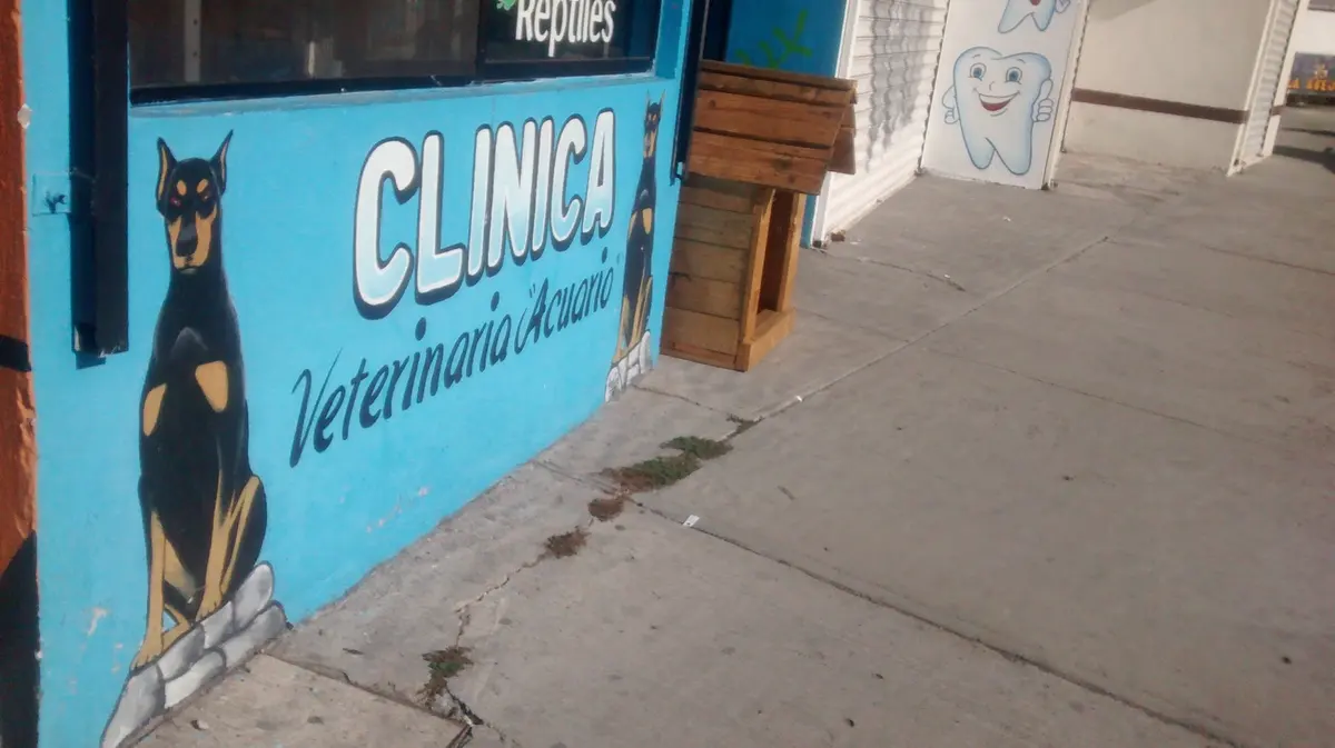 Veterinaria El Ángel