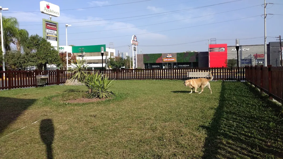 Petco Vasconcelos