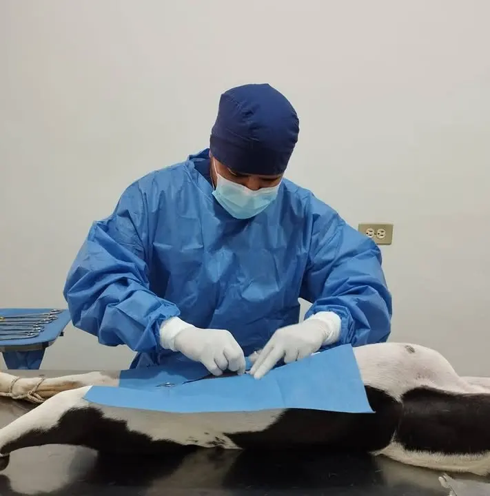 Veterinaria Rodríguez