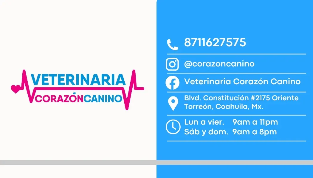 Albergue Corazón Canino