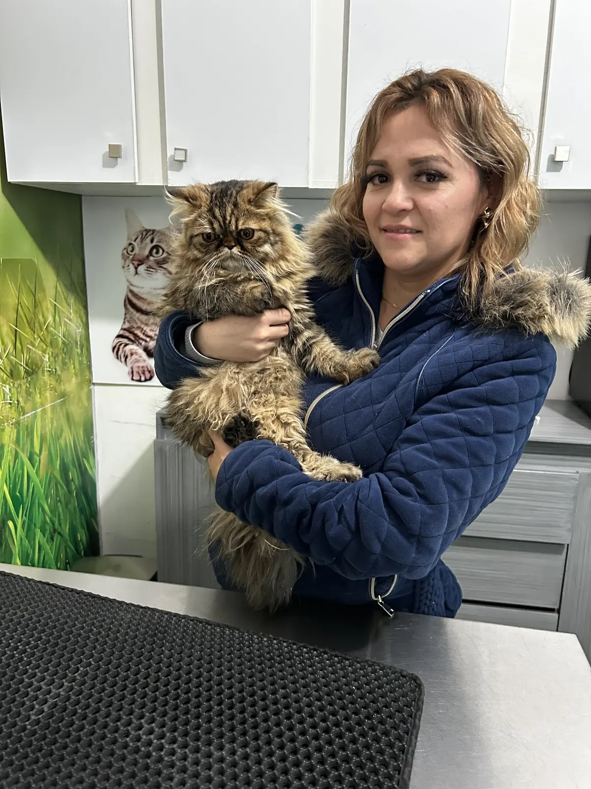 Doggy Vet Care - clínica especializada en perros y gatos