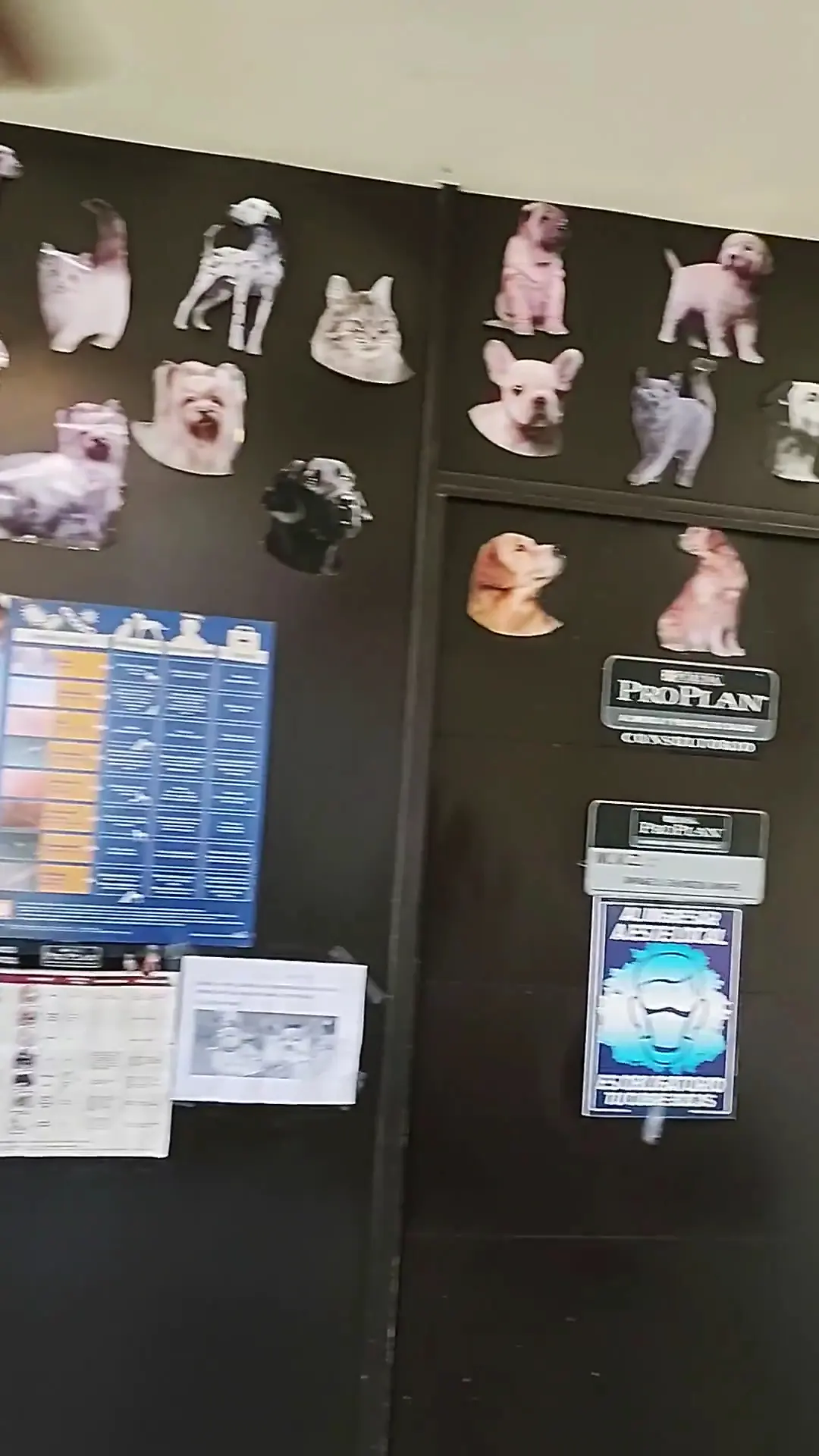 Hospital y Servicios Veterinarios — foto 2 de 3