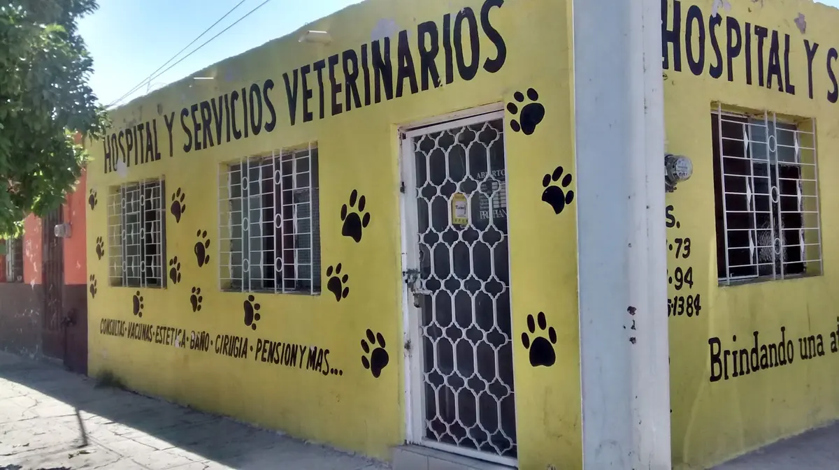 Hospital y Servicios Veterinarios