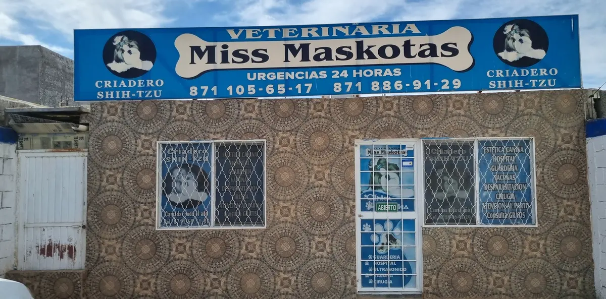 Miss Maskotas