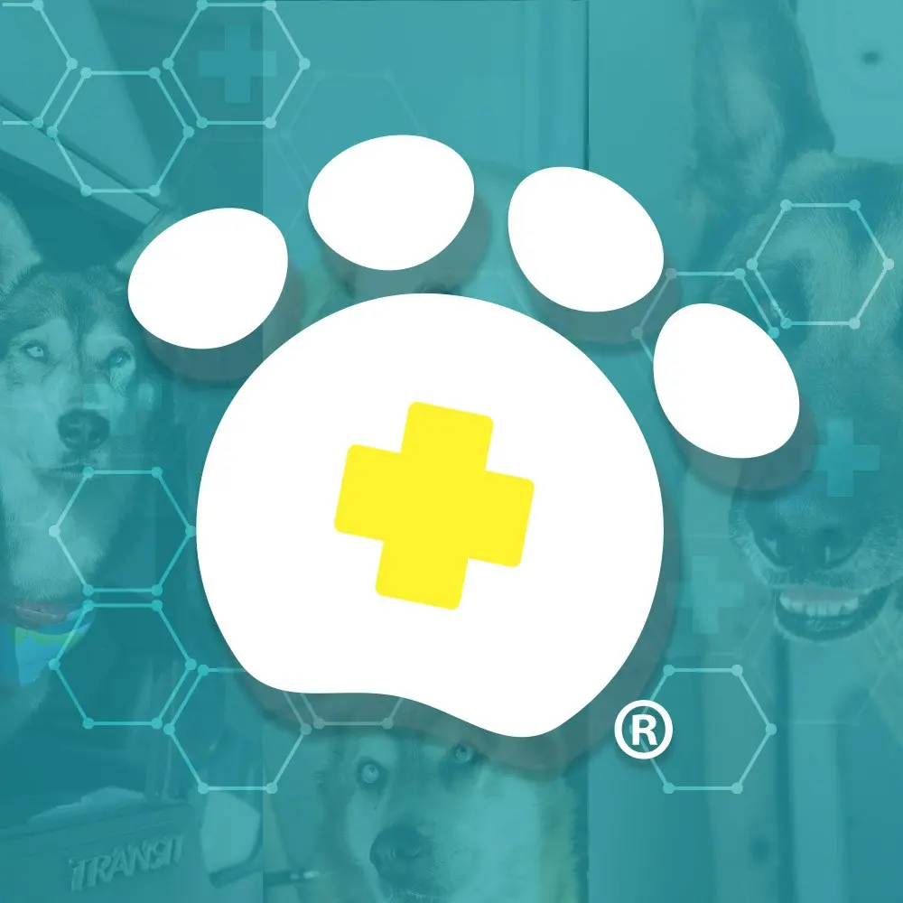 Sumano Animal Hospital - Oftalmólogo Veterinario en Torreón - Veterinario 24 Horas en Torrreón