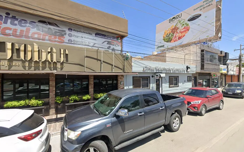 VETERINARIA CAMPESTRE
