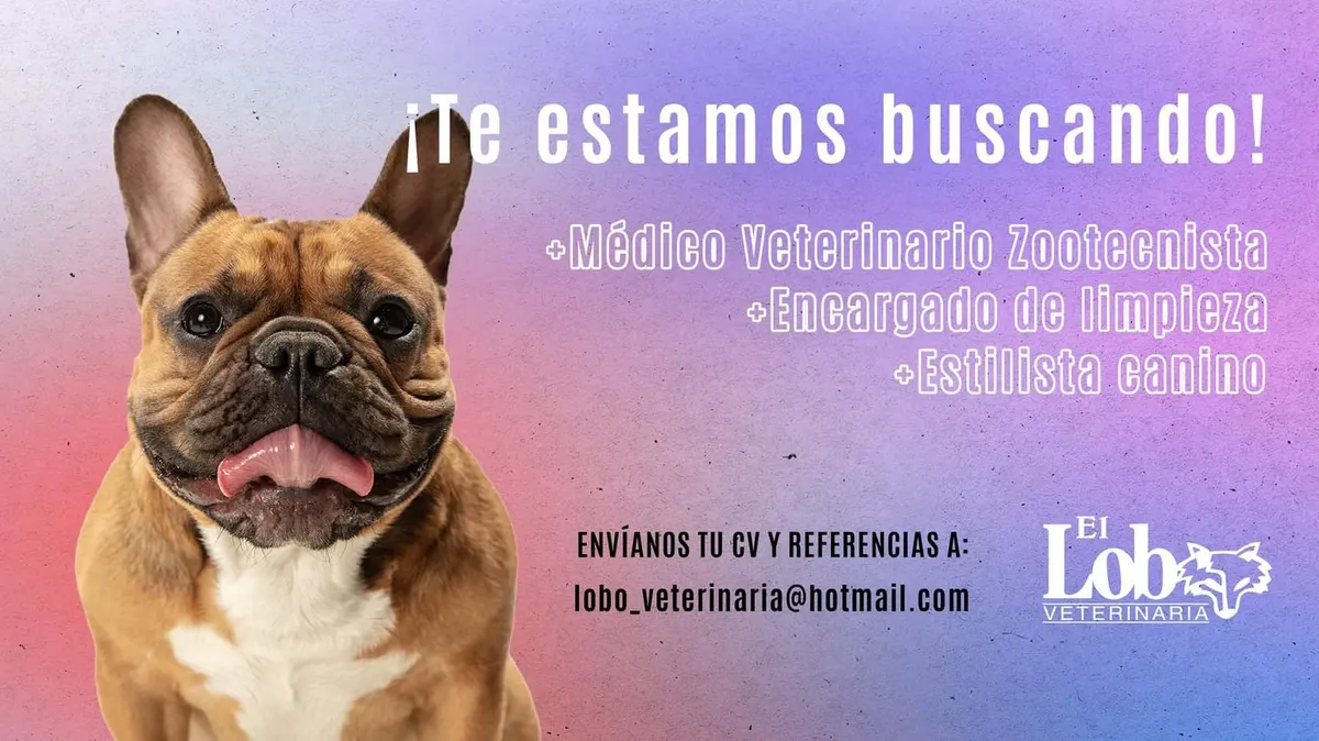 Veterinaria El Lobo