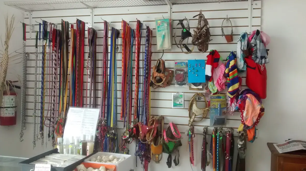 Clinica Veterinaria Soto Pèrez