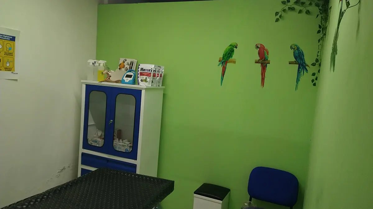 Clínica Veterinaria "TEKUANI"