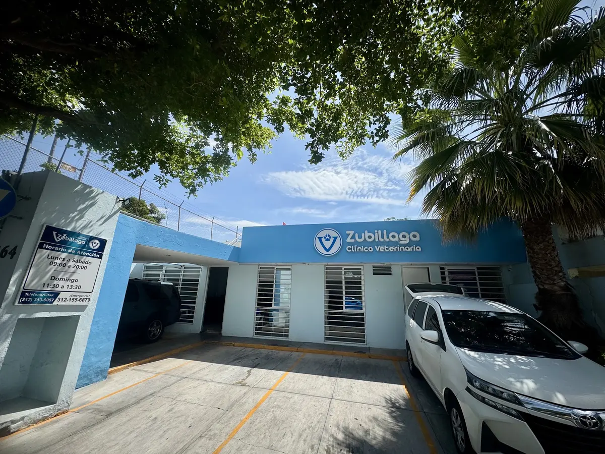 Clinica Veterinaria Zubillaga