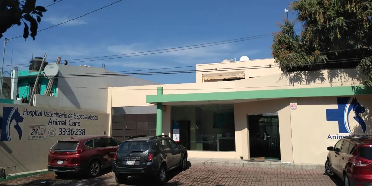Hospital veterinario y especialidades Animal Care — foto 2 de 3