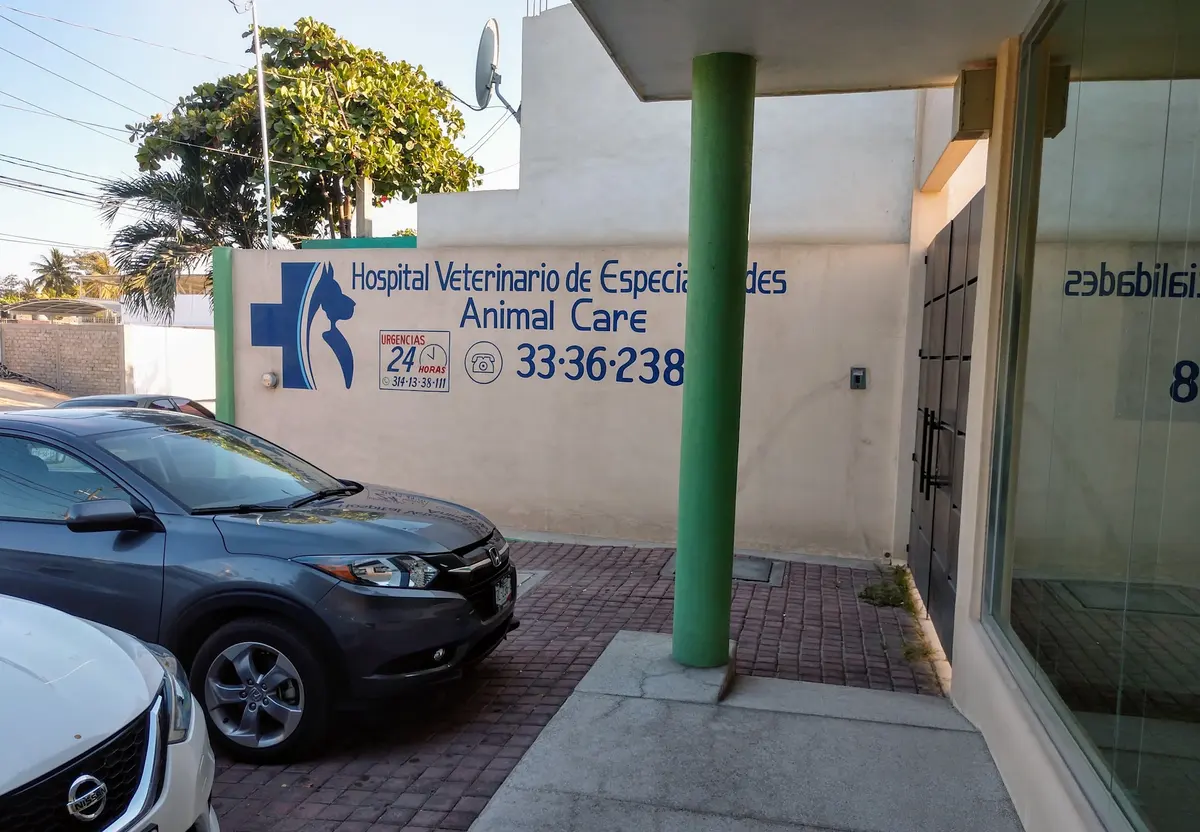 Hospital veterinario y especialidades Animal Care — foto 3 de 3