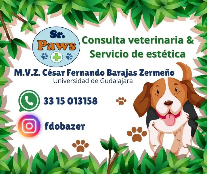 Sr Paws
