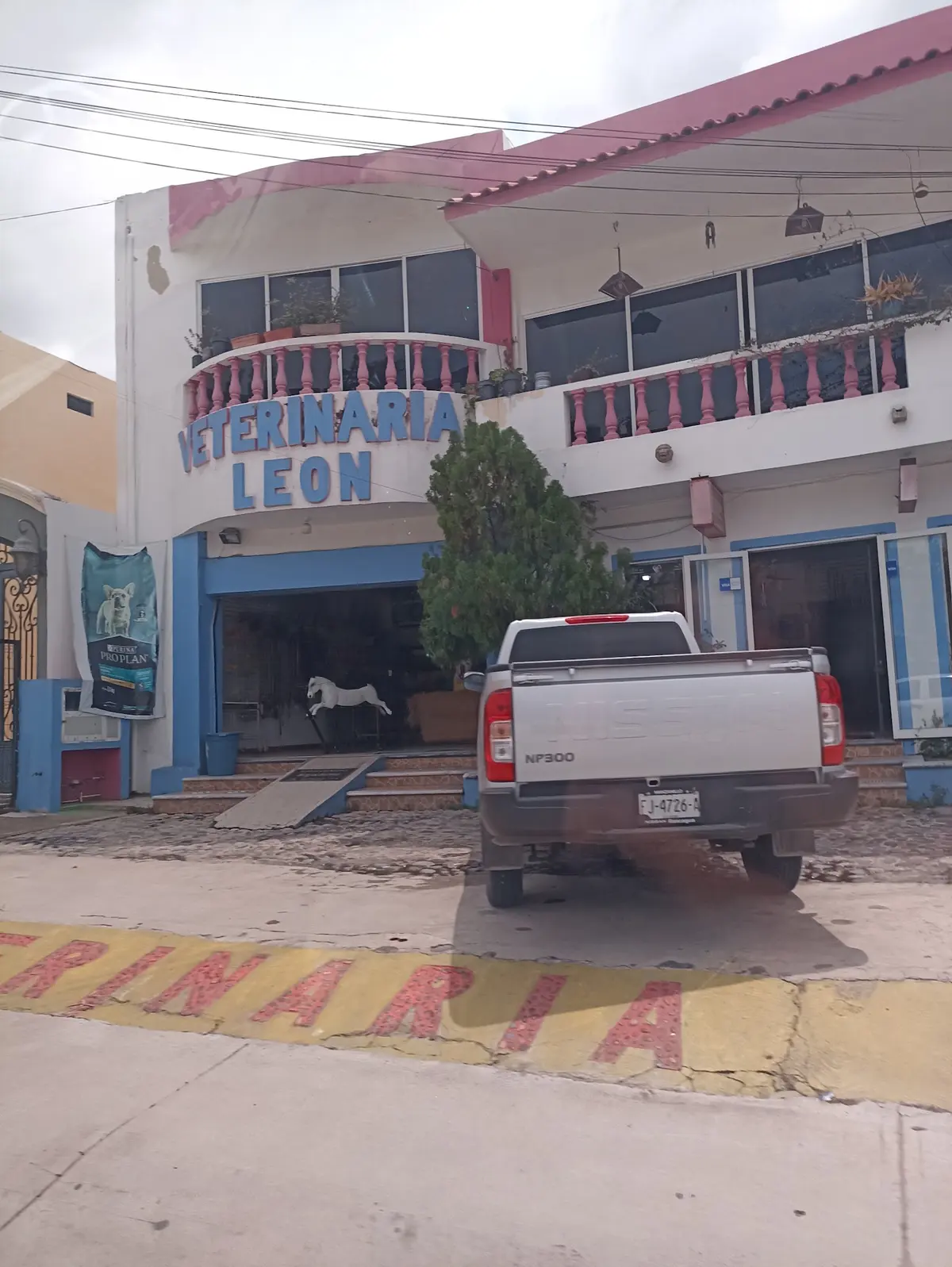 Veterinaria León