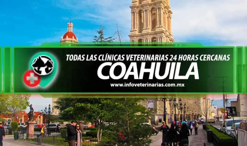 Veterinaria Pacifico