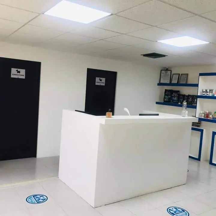 CENTRO VETERINARIO FILADELFIA