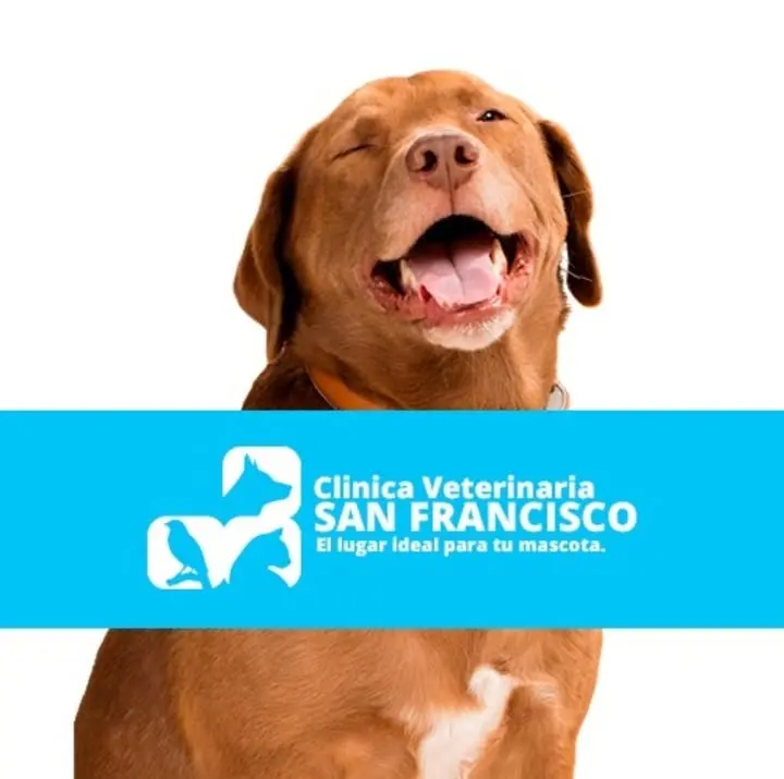Clínica Veterinaria San Francisco Sucursal Chapala