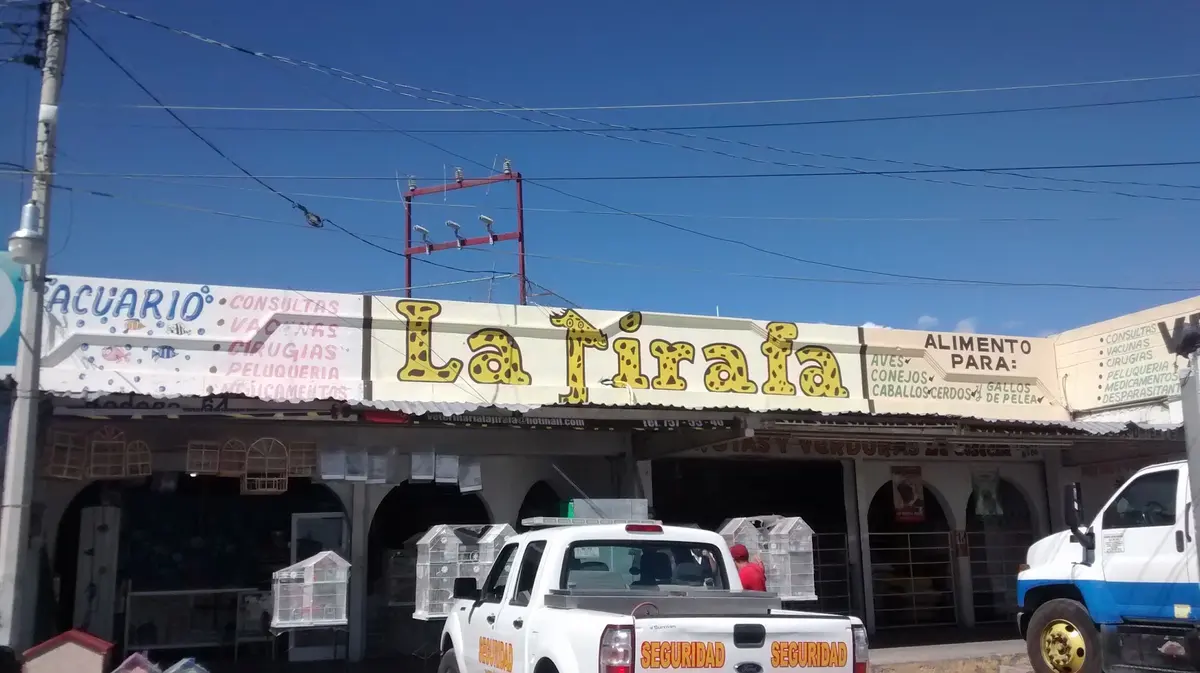 La Jirafa