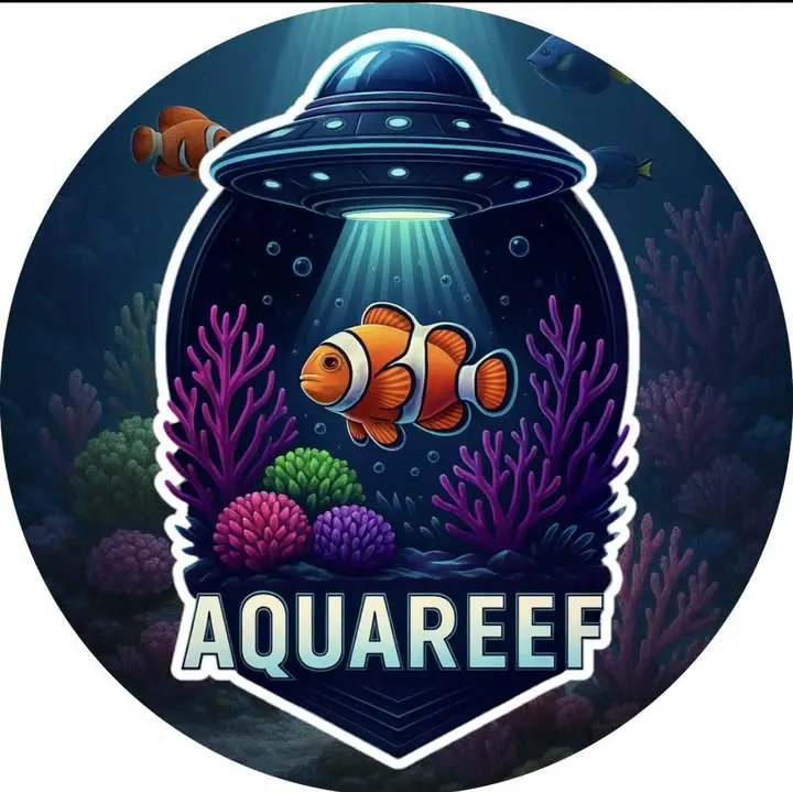 Tienda de mascotas y acuario Aquareef